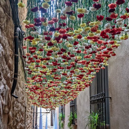 Girona Flower Festival